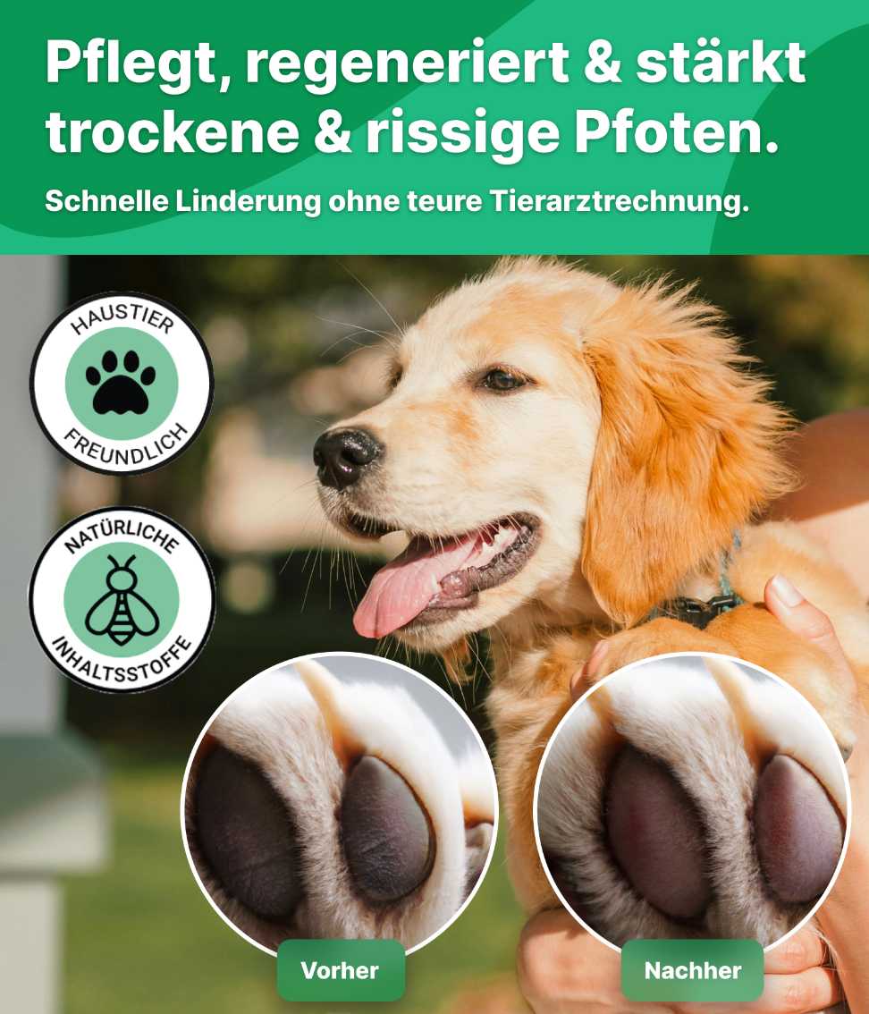 Pfotenbalsam Hund Emma Grün